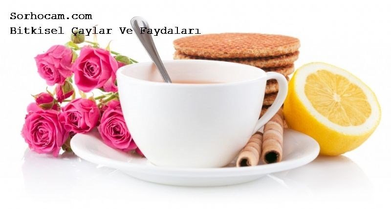 Kök zerdeçal çayı
