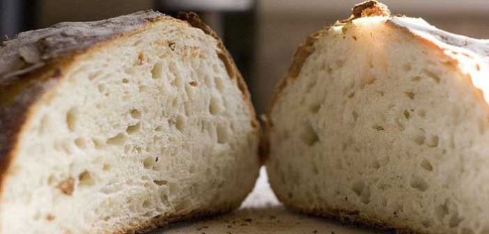 Bayat Ekmek Kullanılarak Ekmek Aşı Nasıl Yapılır?