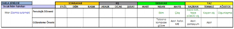 Msr Gbreleme Program