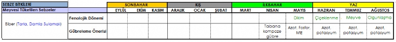 Biber Gbreleme Program