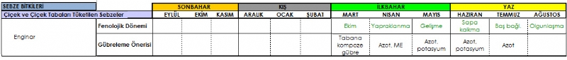 Enginar Gbreleme Program