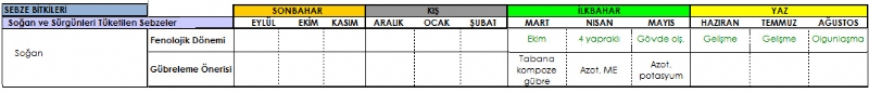 Soan Gbreleme Program