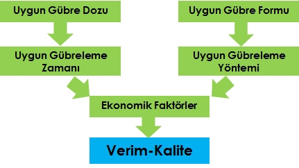 Gbrelemenin Temel lkeleri