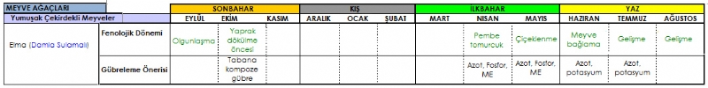 Elma Gbreleme Program