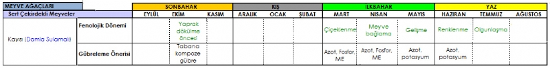 Kays Gbreleme Program