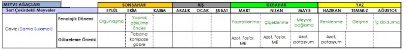 Ceviz Gbreleme Program