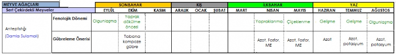 Antep Fst Gbreleme Program