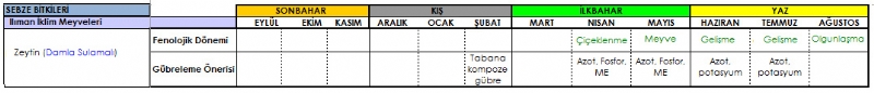 Zeytin Gbreleme Program