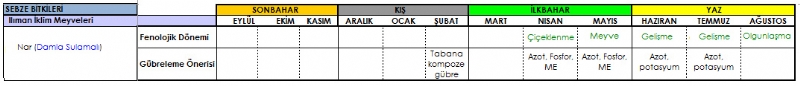 Nar Gbreleme Program