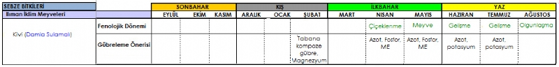 Kivi Gbreleme Program