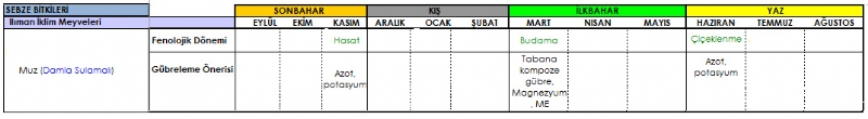 Muz Gbreleme Program