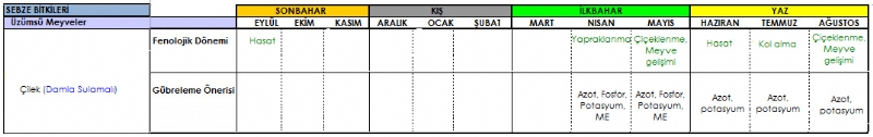 ilek Gbreleme Program