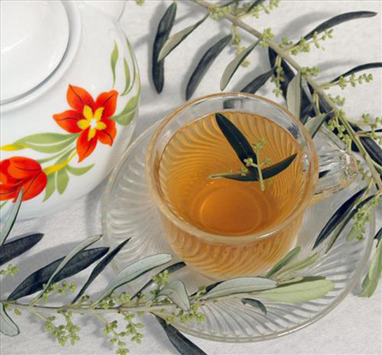 Zeytin Yaprağı Çayının Faydaları