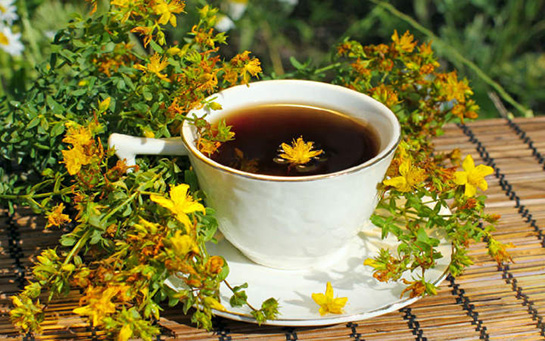 Sarı Kantaron Çayı Faydaları