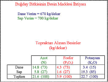 Buday Ve Arpa Gbreleme