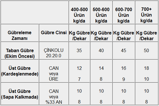 Buday Ve Arpa Gbreleme