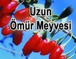 Kurt Üzümü Meyvesi Faydaları Ve Zararları Nelerdir?