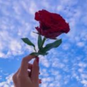 Profil Resmi