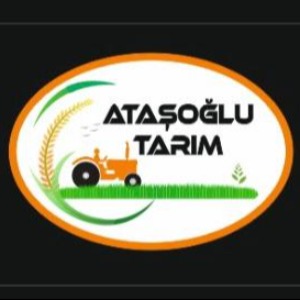 Profil Resmi
