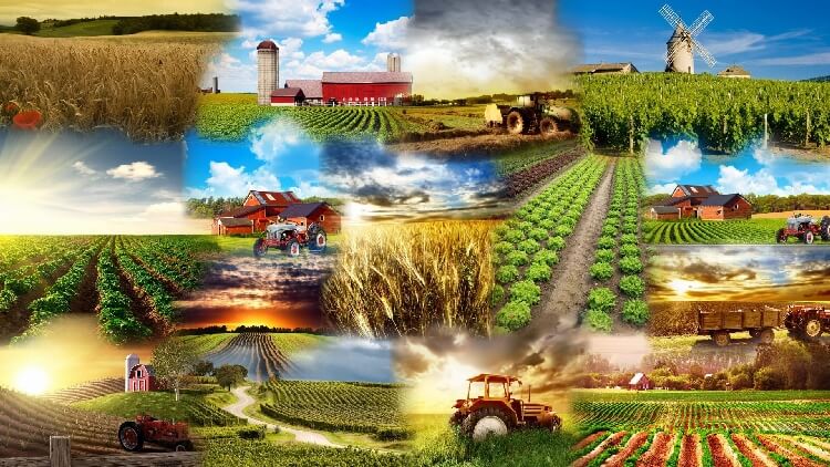 Tarımda Mekanik Savaş Nasıl Yapılır? Tarımda Mekanik Savaş Nasıl Yapılır?