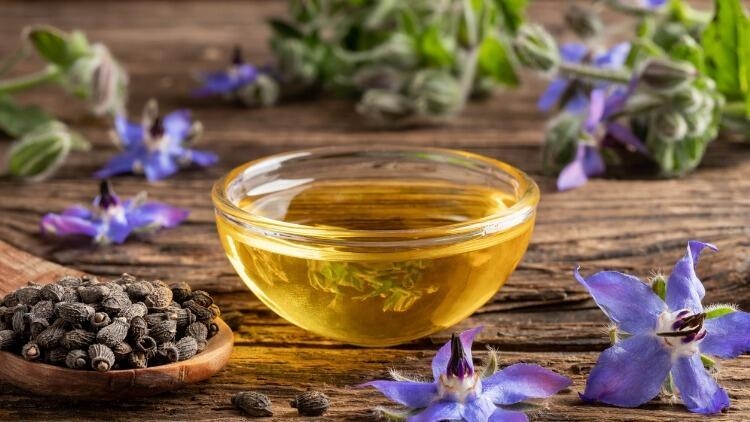 Hodan Yağı Neye Faydalıdır? Hodan Yağı Neye Faydalıdır?