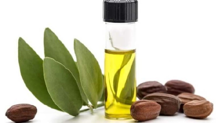 Jojoba Yağı Nelere Faydalıdır? Jojoba Yağı Nelere Faydalıdır?