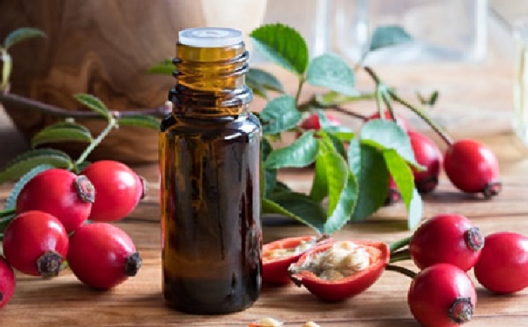 Kuşburnu Çekirdeği Yağının Faydaları ve Zararları Nelerdir? Kuşburnu Çekirdeği Yağının Faydaları ve Zararları Nelerdir?