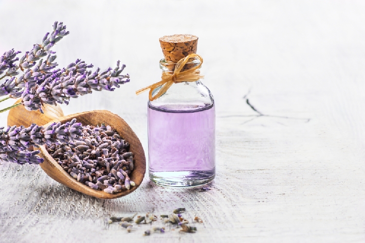 Lavanta Yağının Faydaları ve Zararları Nelerdir? Lavanta Yağının Faydaları ve Zararları Nelerdir?