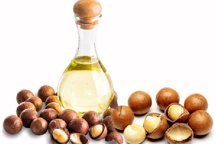 Macadamia Yağının Faydaları ve Zararları Nelerdir? Macadamia Yağının Faydaları ve Zararları Nelerdir?