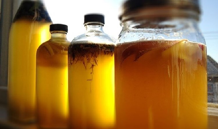 Kombucha Çayı Ne Zaman Içilir? Kombucha Çayı Ne Zaman Içilir?