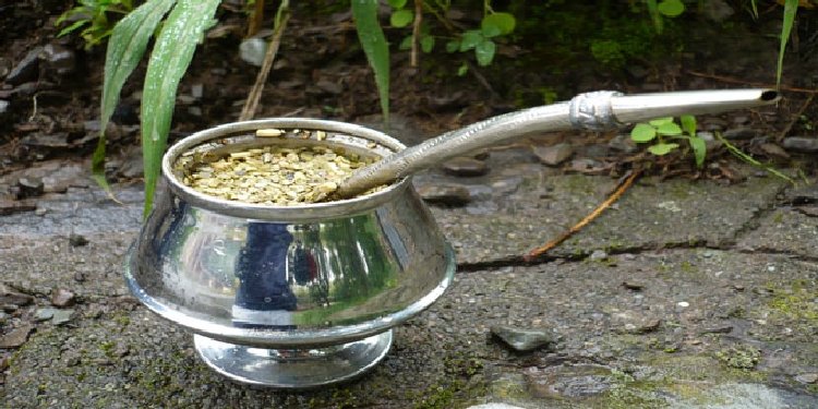Mate Çayının Faydaları Ve Zararları Nelerdir? Mate Çayının Faydaları Ve Zararları Nelerdir?