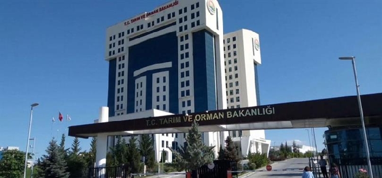 Tarım Ve Orman Bakanlığının Teşkilat Yapısı Tarım Ve Orman Bakanlığının Teşkilat Yapısı