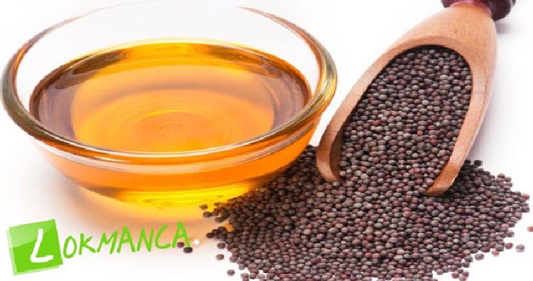 Hardal Yağının Faydaları ve Zararları Nelerdir? Hardal Yağının Faydaları ve Zararları Nelerdir?