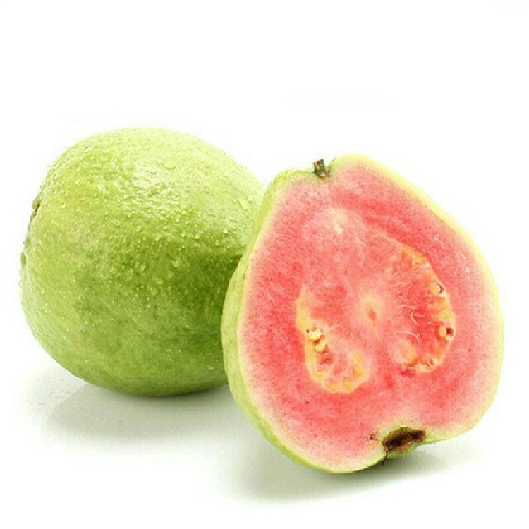 Guava Ağacı Ve Guava Meyvesi (Psidium Guajava L.) Nedir? Guava Ağacı Ve Guava Meyvesi (Psidium Guajava L.) Nedir?