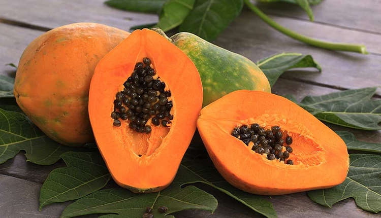 Papaya (Carica Papaya) Meyvesi Nedir? Papaya (Carica Papaya) Meyvesi Nedir?