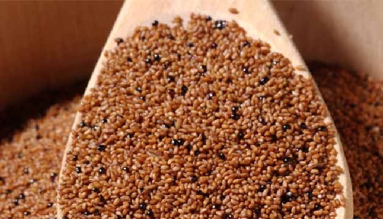 Teff Grass Besin Değeri Nedir? Teff Grass Besin Değeri Nedir?
