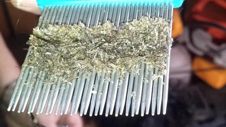 Bite Karşı Korunmak Için Neler Yapılabilir? Bite Karşı Korunmak Için Neler Yapılabilir?