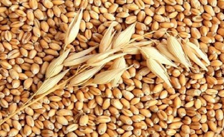 Arpa Gübreleme Önerileri (Tavsiyeleri) Arpa Gübreleme Önerileri (Tavsiyeleri)