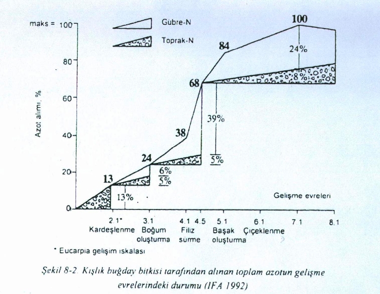 Buğday Yetiştiriciliğinde Gübreleme Programı Nasıl Olmalıdır? Buğday Yetiştiriciliğinde Gübreleme Programı Nasıl Olmalıdır?