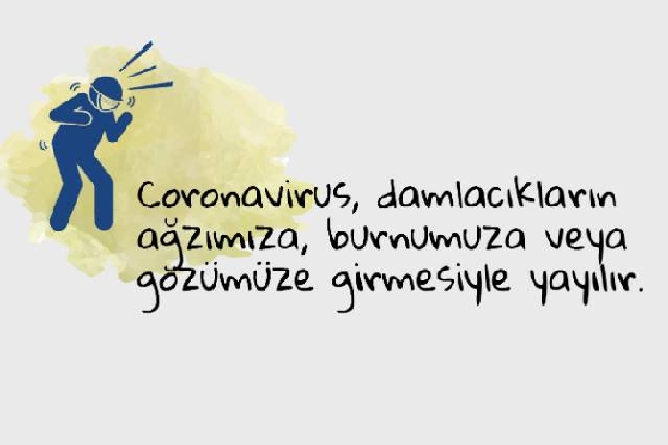 Koronavirüs Hakkında Her Şey Koronavirüs Hakkında Her Şey