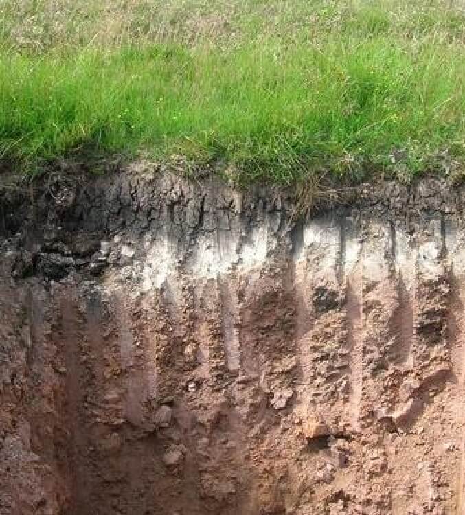 Killi Toprağa Hangi Gübre Atılır? Killi Toprağa Hangi Gübre Atılır?