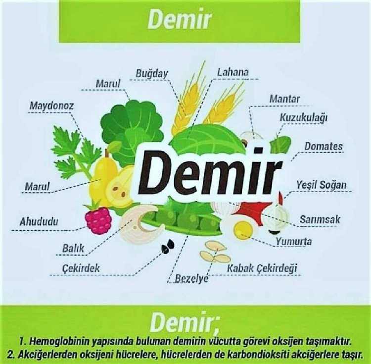 Vücut Için Gerekli Vitaminler Ve Mineraller Nelerdir? Vücut Için Gerekli Vitaminler Ve Mineraller Nelerdir?