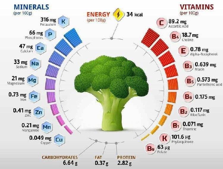 D Vitamini Faydalar