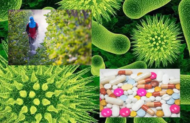 Pestisitlerin İnsan Ve Çevre Üzerine Etkileri Pestisitlerin İnsan Ve Çevre Üzerine Etkileri