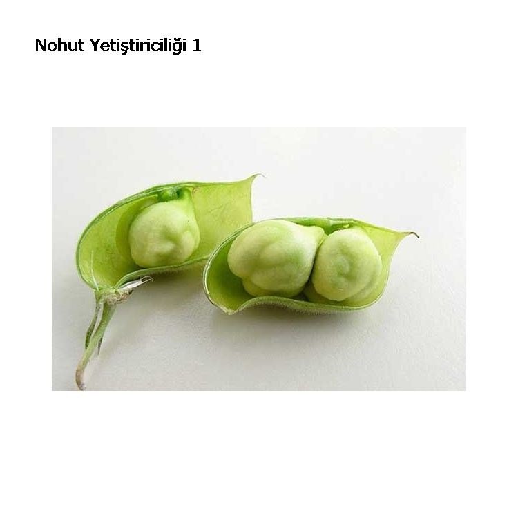 Nohut Gübre Nohut Gübre