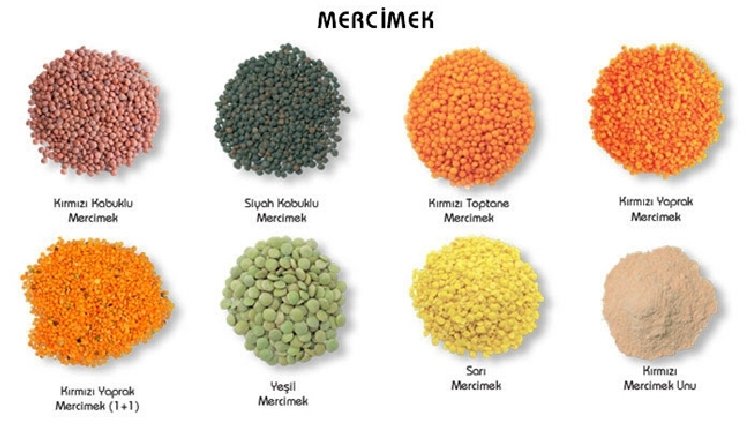 Yeşil Mercimek Nedir? Yeşil Mercimek Nedir?