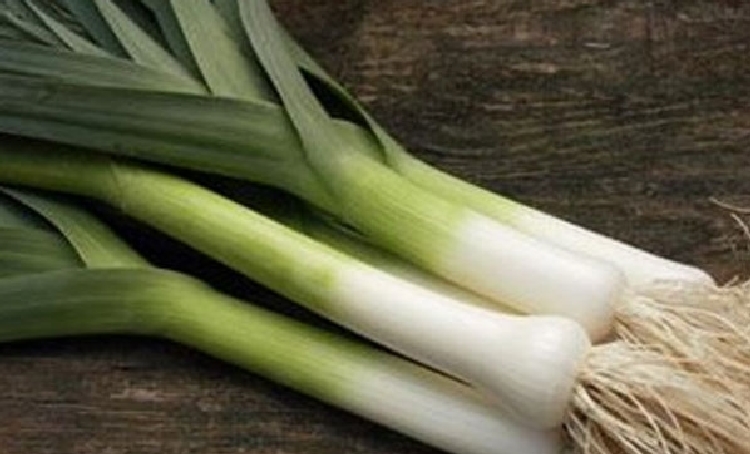 Pırasa Nedir, Nasıl Yetiştirilir? Pırasa Nedir, Nasıl Yetiştirilir?