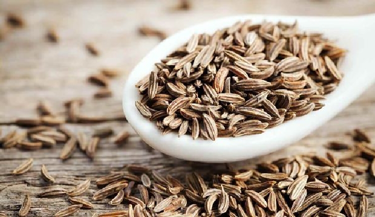 Kimyon Nedir, Nasıl Yetiştirilir? Kimyon Nedir, Nasıl Yetiştirilir?