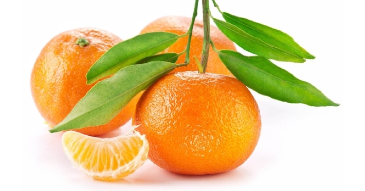 Mandalina Mideye Iyi Gelir Mi? Mandalina Mideye Iyi Gelir Mi?