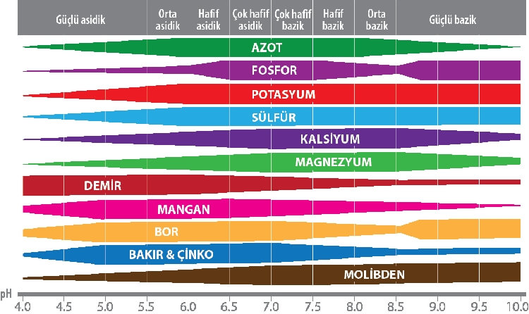 elat Nedir?